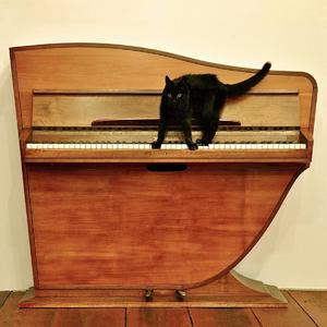 优酸乳成人字幕在线观看
